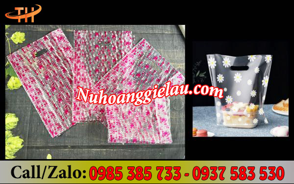 Túi hột xoài PP trong in hoa Túi hột xoài PP trong in hoa