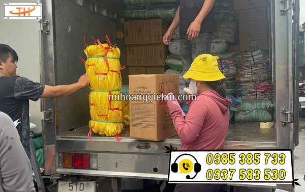 dây nilon kẽm khô TPHCM dây nilon kẽm khô TPHCM