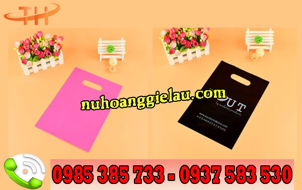 túi hột xoài hd túi hột xoài hd