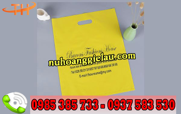 túi hột xoài hd in hình đẹp túi hột xoài hd in hình đẹp