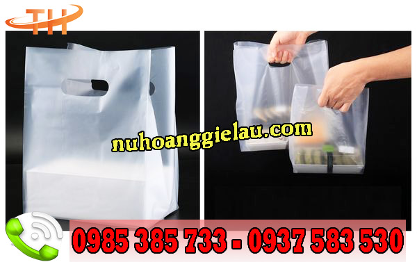 Túi hột xoài trong suốt giúp hàng hóa đựng bên trong hiện rõ ra ngoài trong đẹp mắt Túi hột xoài trong suốt giúp hàng hóa đựng bên trong hiện rõ ra ngoài trong đẹp mắt