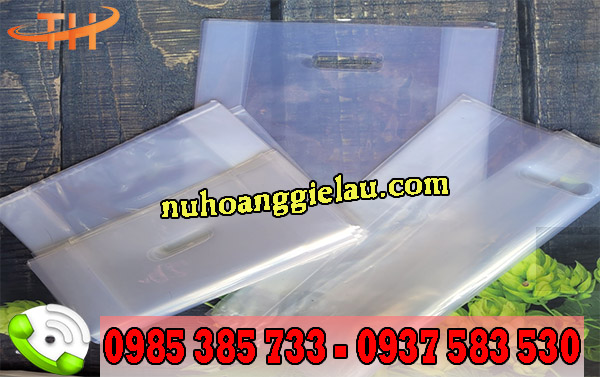 Túi hột xoài trong suốt bề mặt sáng bóng Túi hột xoài trong suốt bề mặt sáng bóng