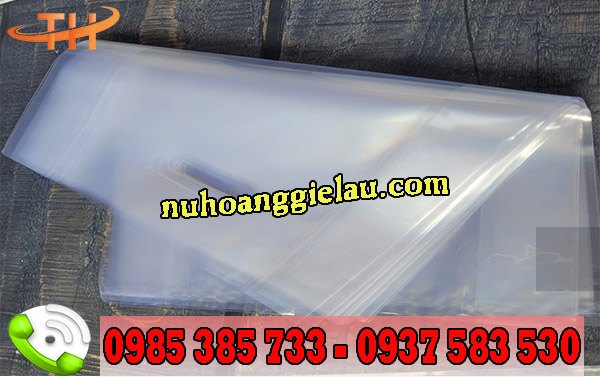 Túi hột xoài trong suốt sỉ giá rẻ tại xưởng Thu Hồng Túi hột xoài trong suốt sỉ giá rẻ tại xưởng Thu Hồng