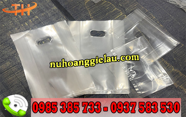 Túi hột xoài trong suốt chất liệu PP an toàn Túi hột xoài trong suốt chất liệu PP an toàn