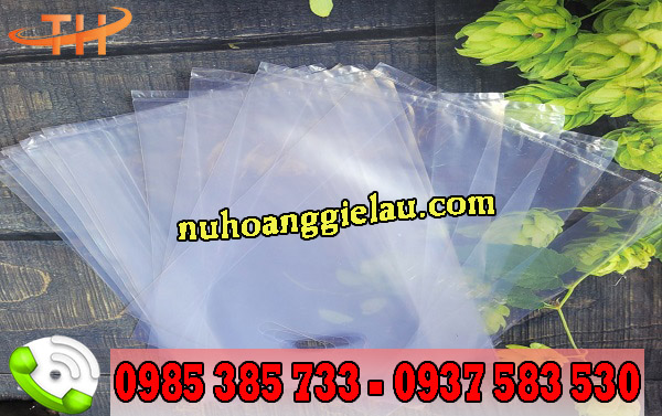 túi hột xoài trong túi hột xoài trong