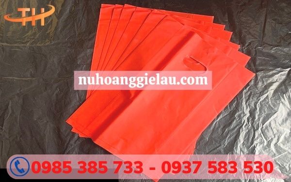 túi hột xoài HD chất lượng túi hột xoài HD chất lượng