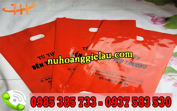 Túi hột xoài PE in hình màu đỏ Túi hột xoài PE in hình màu đỏ