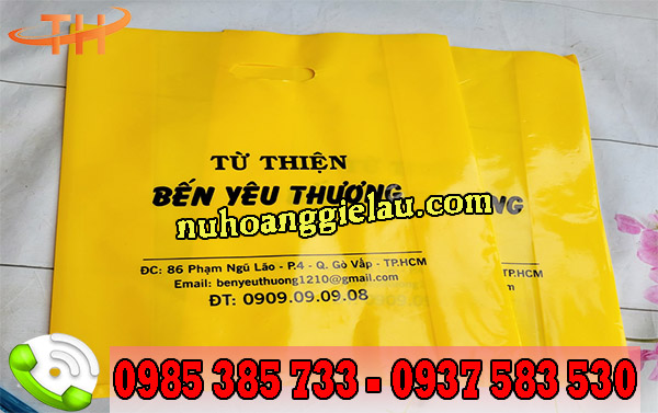 Túi hột xoài PE in hình màu vàng Túi hột xoài PE in hình màu vàng