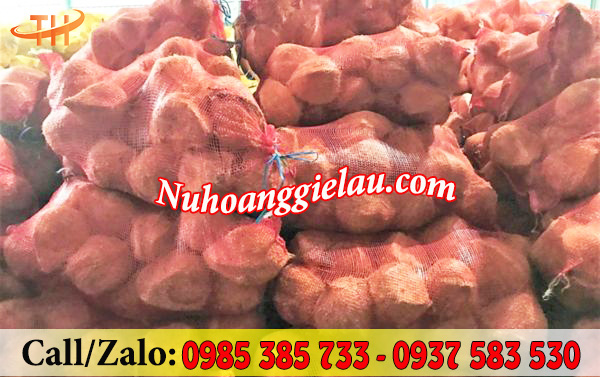 Bao lưới đựng dừa khô tiện lợi Bao lưới đựng dừa khô tiện lợi