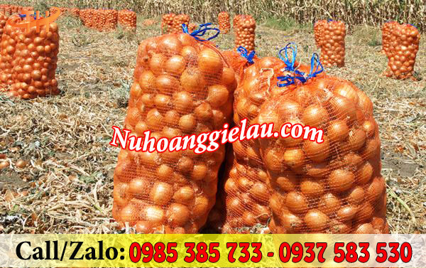 Bao tải lưới đựng hành sau khi thu hoạch Bao tải lưới đựng hành sau khi thu hoạch