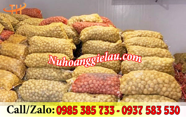 Bao tải lưới đựng nông sản thông thoáng tiện lợi Bao tải lưới đựng nông sản thông thoáng tiện lợi