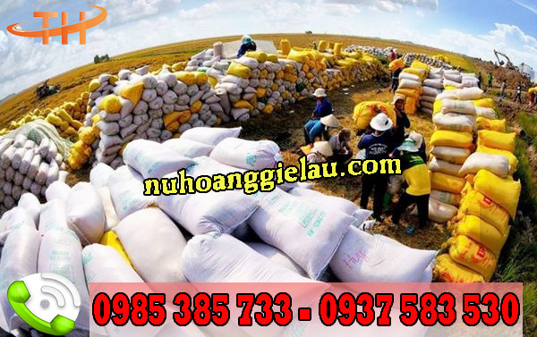 Bao tải đóng hàng cho mùa bội thu Bao tải đóng hàng cho mùa bội thu