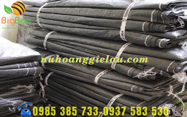 bao tải dứa 100kg đựng lúa