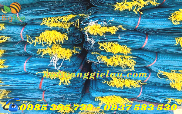 bao tải dứa Thu Hồng