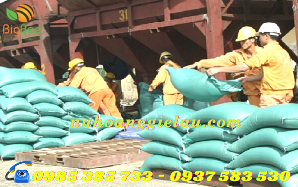 bao tải dứa đựng hàng