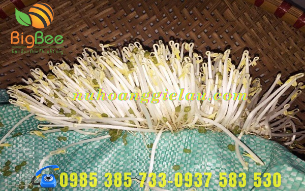 bao tải dứa dùng trong công nghiệp