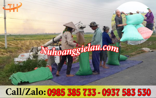 Bao tải dứa xanh được sử dụng khá nhiều trong nông nghiệp Bao tải dứa xanh được sử dụng khá nhiều trong nông nghiệp