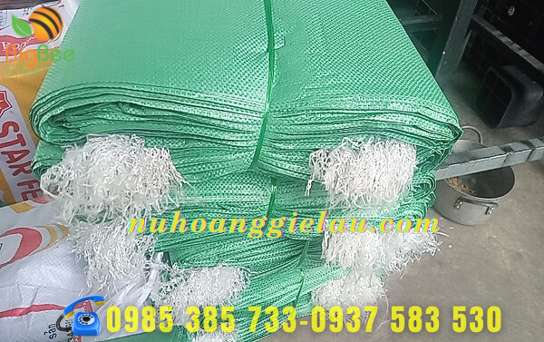 bao tải dứa xanh