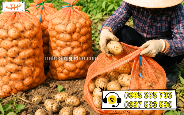 Bao lưới thông thoáng đựng rau quả Bao lưới thông thoáng đựng rau quả