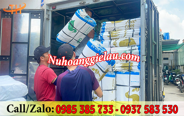 Bao tải cũ tráng PE đi số lượng lớn hẳng ngày tại Thu Hồng Bao tải cũ tráng PE đi số lượng lớn hẳng ngày tại Thu Hồng