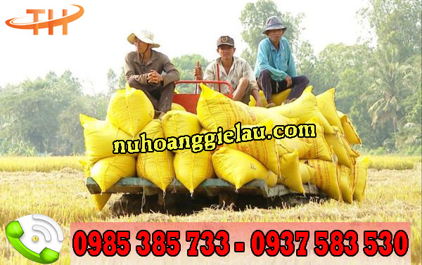 bao tải đựng hàng màu vàng được lựa chọn sử dụng hàng đầu bao tải đựng hàng màu vàng được lựa chọn sử dụng hàng đầu