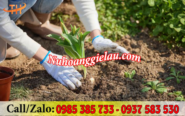 Găng tay sợi len trắng 40g làm vườn Găng tay sợi len trắng 40g làm vườn