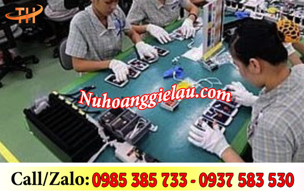 Găng tay vải thun T8 sử dụng trong lắp ráp linh kiện Găng tay vải thun T8 sử dụng trong lắp ráp linh kiện