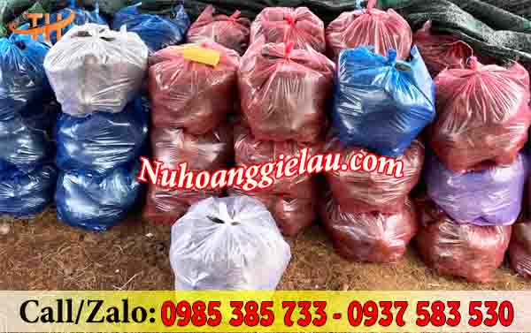 Bao xốp hai quai chứa đựng hàng hoá tiện lợi Bao xốp hai quai chứa đựng hàng hoá tiện lợi