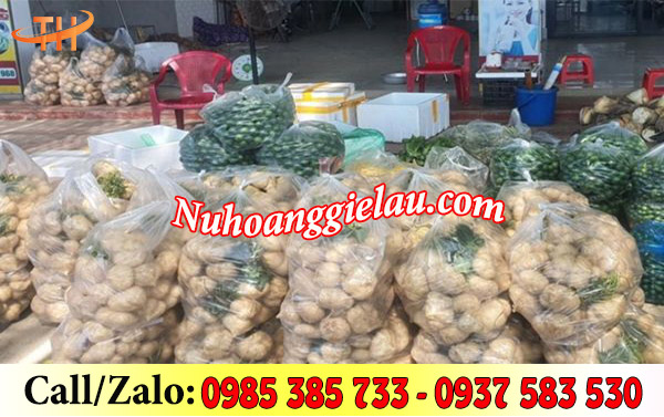 Túi 2 quai trắng đục lỗ an toàn, thông thoáng Túi 2 quai trắng đục lỗ an toàn, thông thoáng