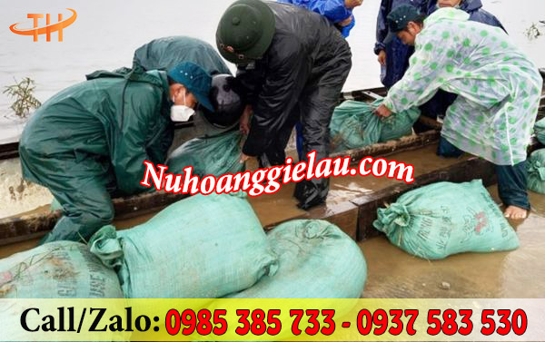 Bao tải đóng hàng đựng cát đắp đê Bao tải đóng hàng đựng cát đắp đê