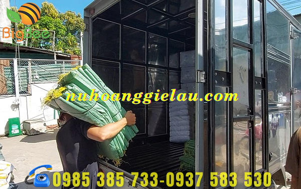 chuẩn bị giao đơn hàng số lượng lớn giá rẻ cho khách Bình Chánh