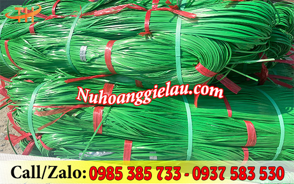 Dây nilon kẽm khô màu xanh bắt mắt Dây nilon kẽm khô màu xanh bắt mắt