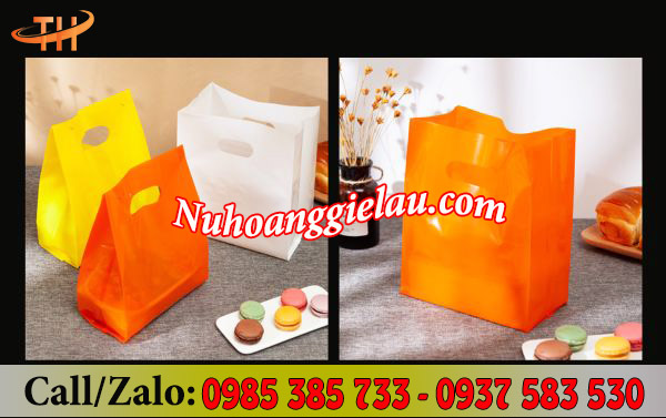 Túi hột xoài đựng hàng hoá sang trọng Túi hột xoài đựng hàng hoá sang trọng