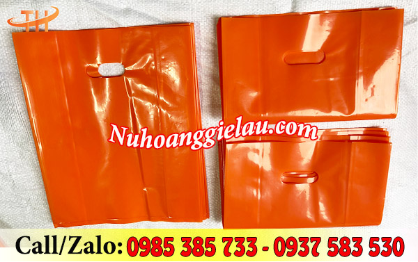 Túi hột xoài PE Túi hột xoài PE