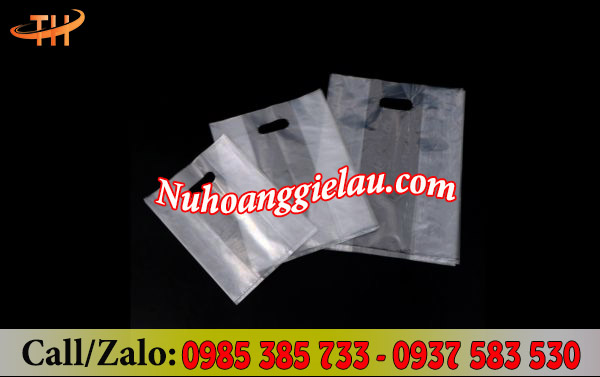 Túi xoài trong suốt đủ kích cỡ Túi xoài trong suốt đủ kích cỡ