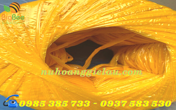 dây nilon nem
