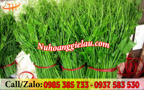 Cuộn dây ni lông ống bó rau Cuộn dây ni lông ống bó rau