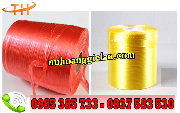 Dây nilon Đài Loan màu sắc sáng bóng Dây nilon Đài Loan màu sắc sáng bóng