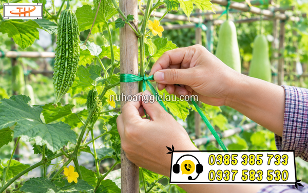 Bản dây nhỏ nhưng vẫn đảm bảo độ chắc bền khi sử dụng Bản dây nhỏ nhưng vẫn đảm bảo độ chắc bền khi sử dụng