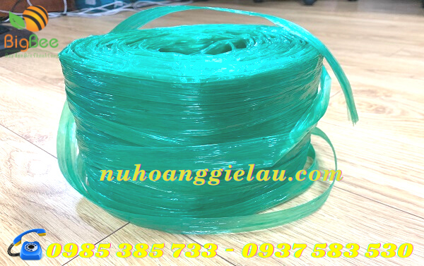 dây nilon nem xanh