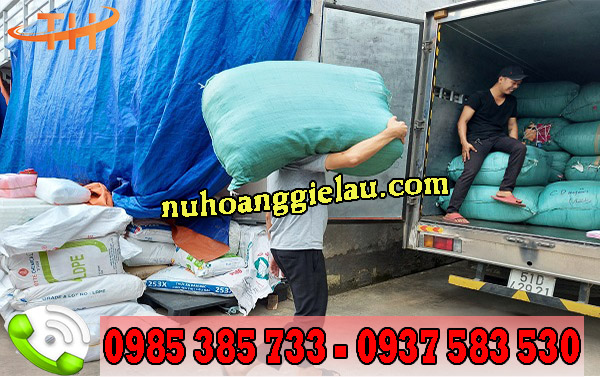 đi đơn lớn gỏe lau công nghiệp đi đơn lớn gỏe lau công nghiệp