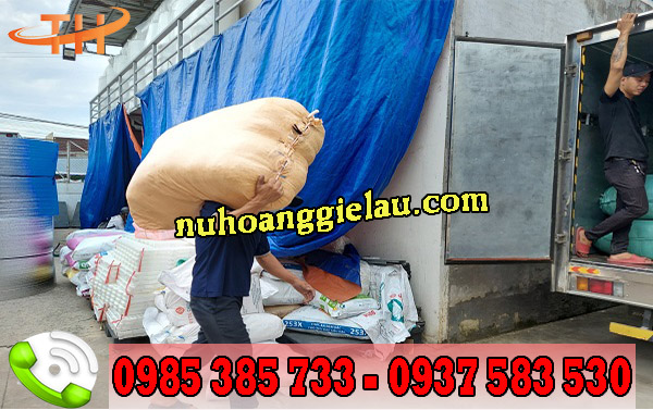 giao giẻ lau giao giẻ lau