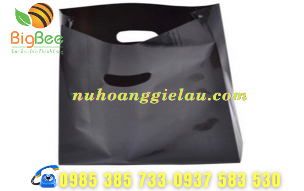 tui-xop-hd-mau-den-sang-chanh