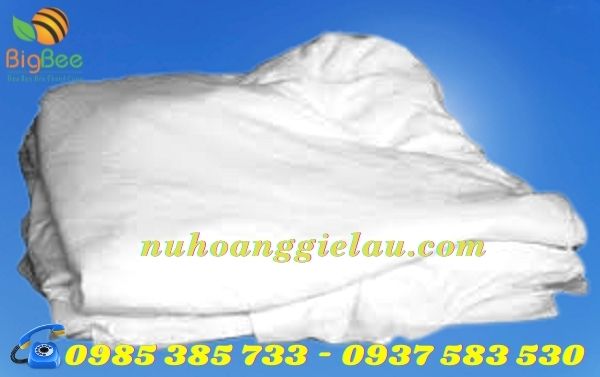 giẻ lau trắng thu hồng