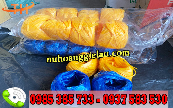 dây nilon nem cuộn được đóng gói 10 cục/ bao dây nilon nem cuộn được đóng gói 10 cục/ bao