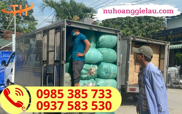 Giao vải lau công nghiệp Giao vải lau công nghiệp