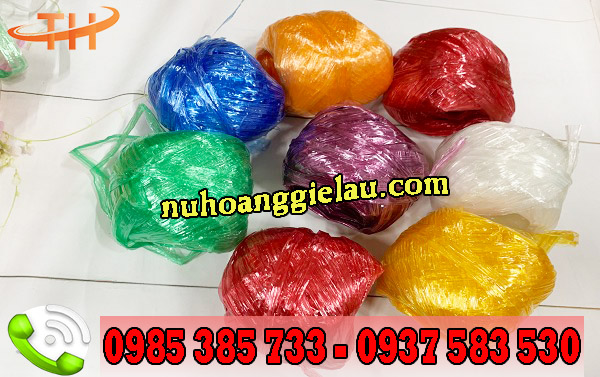 dây nilon nem cuộn 30gam, 40gam sử dụng tiện lợi dây nilon nem cuộn 30gam, 40gam sử dụng tiện lợi