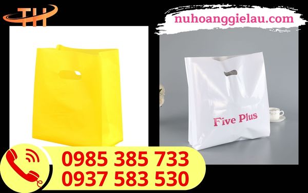 Túi hột xoài PE chất lượng Túi hột xoài PE chất lượng