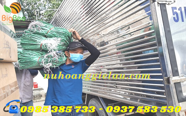 bao tải dứa Thu Hồng