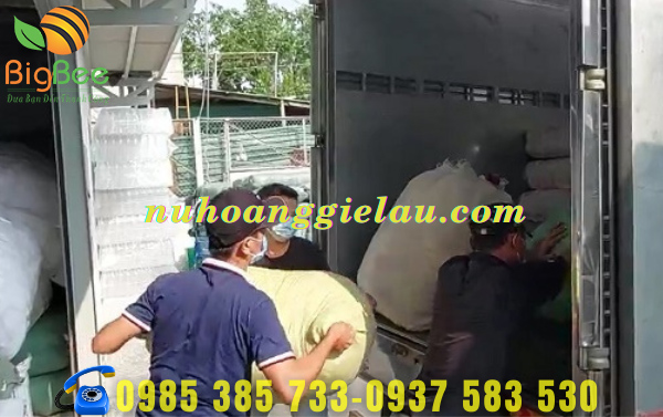 Giao hàng vải lau màu